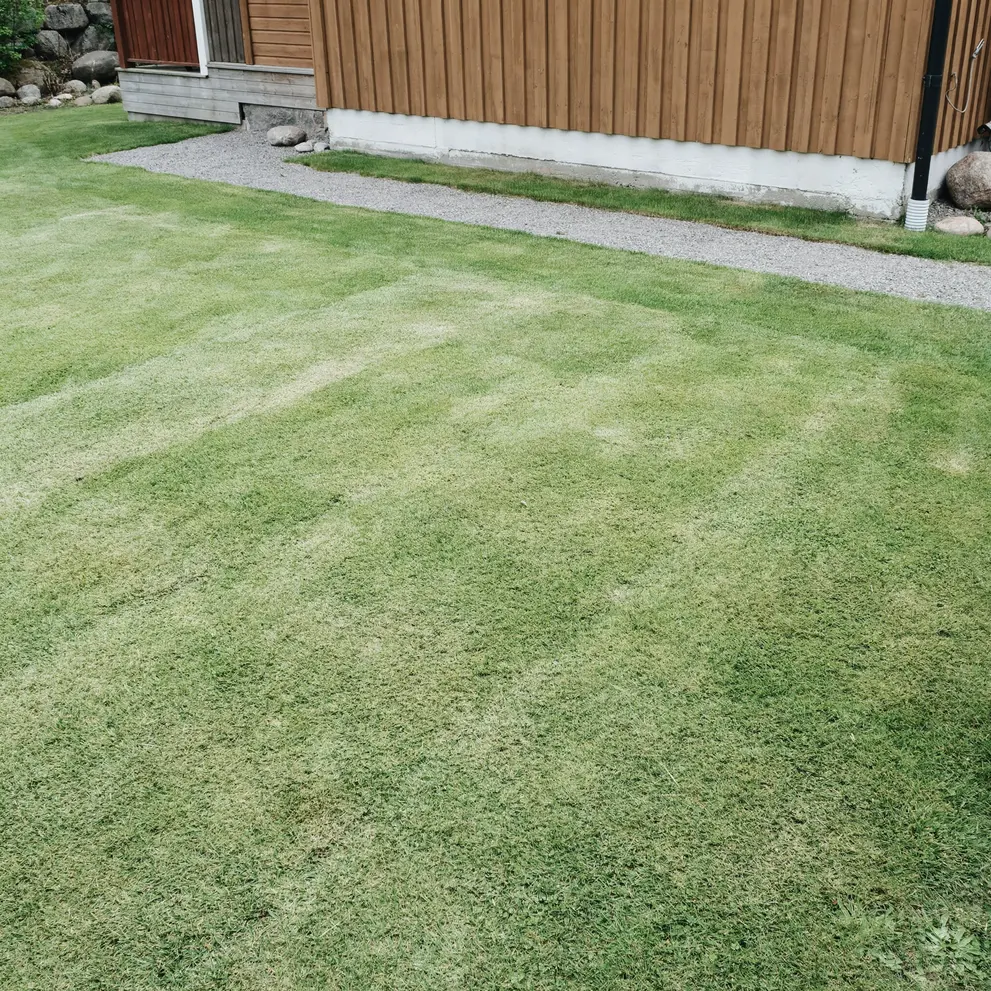 grasklippning malarhojden